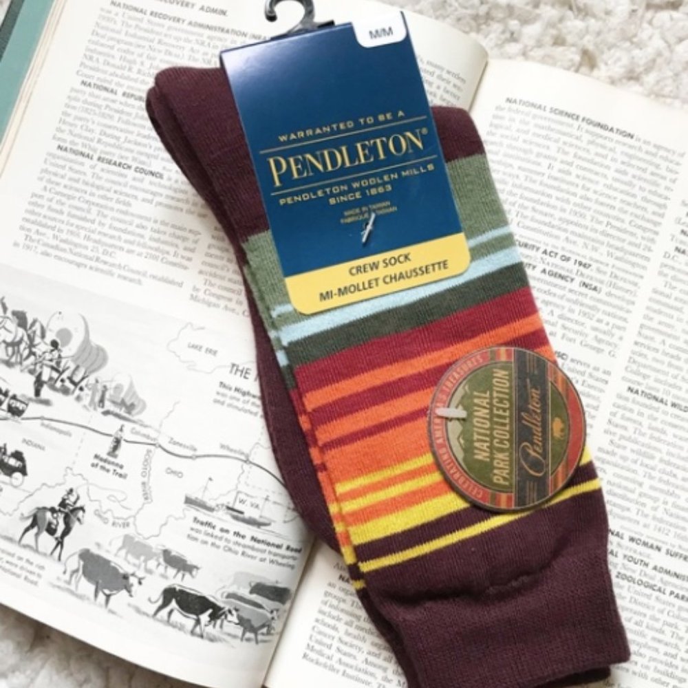 Pendleton UNISEX Smoky Mountain National Park Collection Stripe Socks - Picture 3 of 12